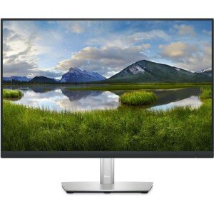 Dell Professional P2423 monitor 24"