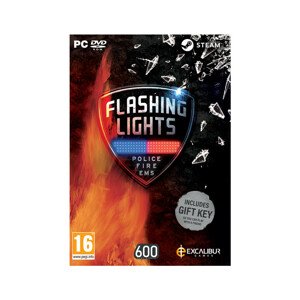 Flashing Lights: Police Fire EMS (PC)