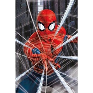 Plakát Spider-Man - Gotcha! (183)