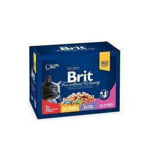 Brit Premium Cat kapsa Family Plate 1200g (12x100g); 68106