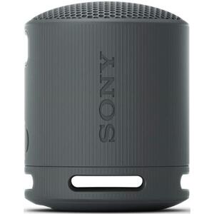 Sony SRS-XB100, černá; SRSXB100B.CE7