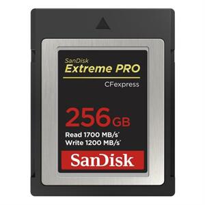 SanDisk Extreme PRO CF expres 256 GB, Type B; SDCFE-256G-GN4NN