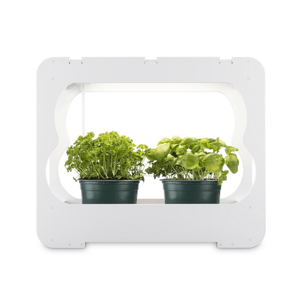 Xavax pěstovací stanice s LED světlem, na bylinky/ rostliny, pro 2-3 nádoby pr. 10 cm, plné spektrum; 112926